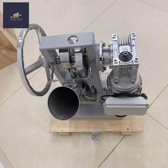 Stampo per pressa manuale per stampi per compresse di calcio al latte con spedizione veloce Personalizza speciale